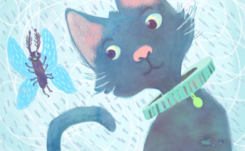 cat and butterfly